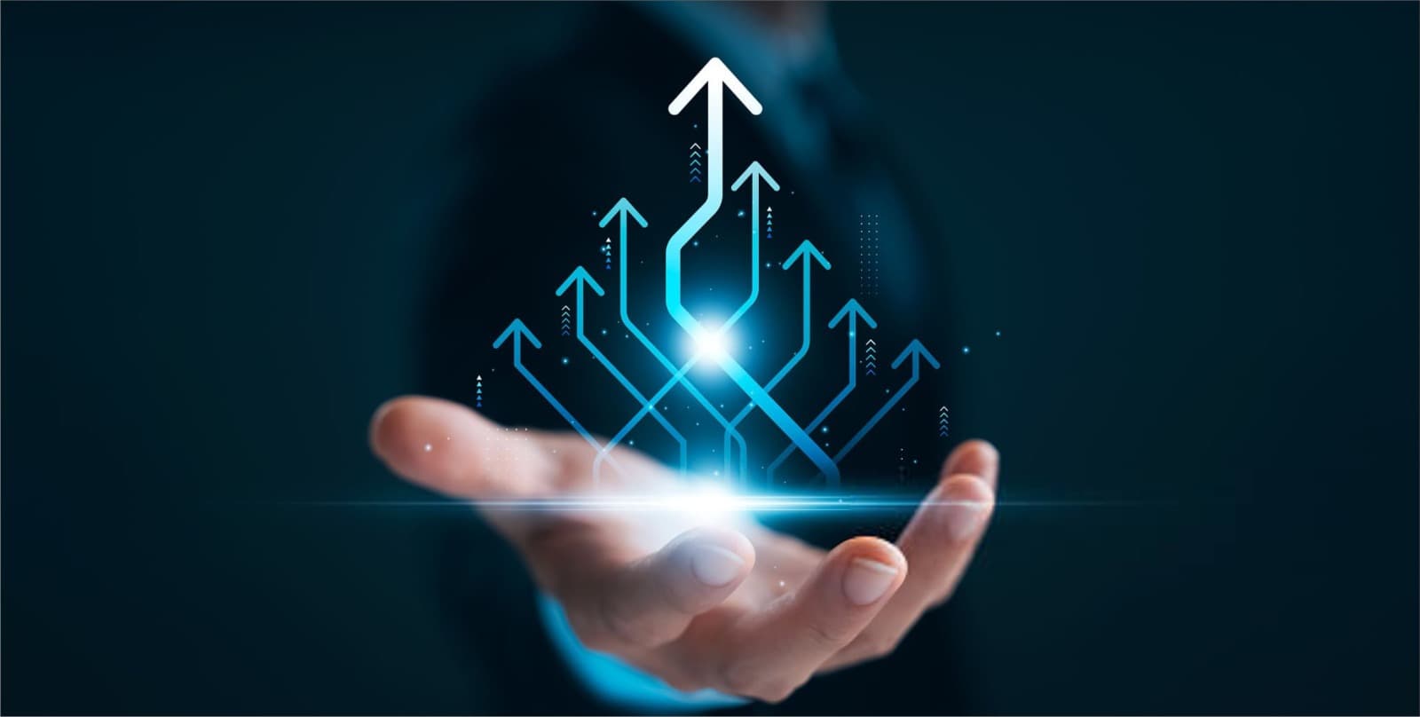 Professional Elevator Services